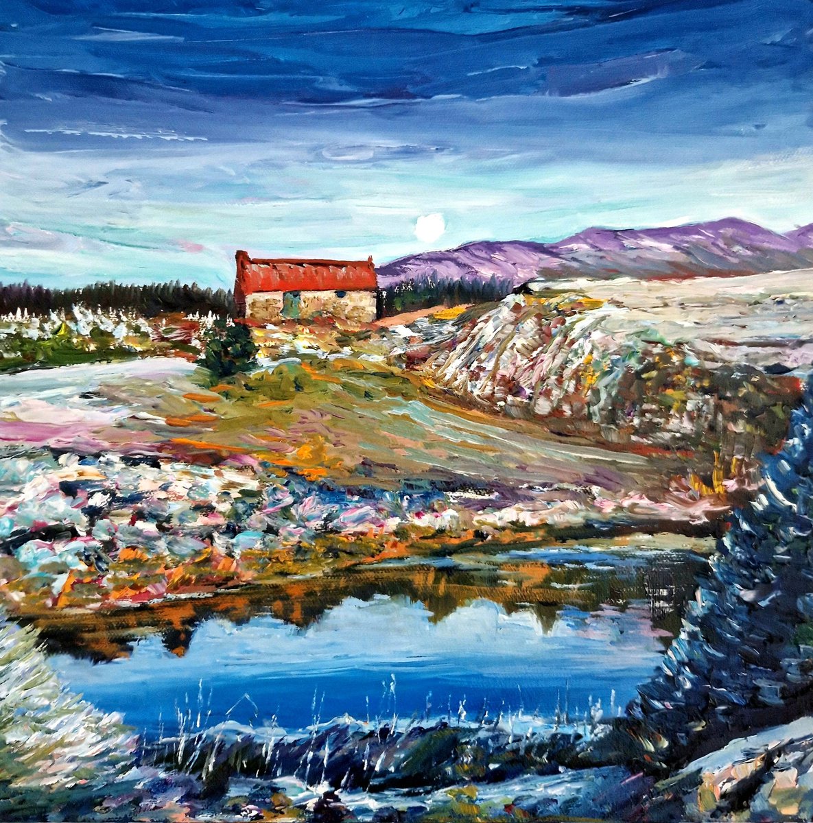 Aoifedowdartist's tweet image. Faoi bhrat seaca❄️ #frosty #connemara #oilpainting