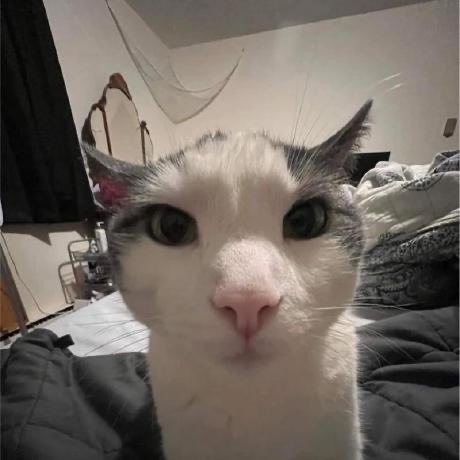 b0gur's tweet image. not a fan of this grok ai stuff

whats the point of this app if all the beautiful women leave