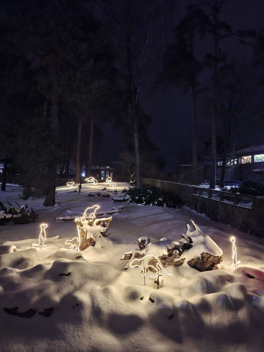 Ziemas naktis <a href="/RigasZoodarzs/">Rīga ZOO</a> . Te vienmēr ir īpaša atmosfēra, biļetes maksā 7€ un var sasildīties ar silto dzērienu senajā šķūnī. Daudzi dzīvnieki vakaros ir īpaši aktīvi, forši viņus vērot. Rekomendēju!