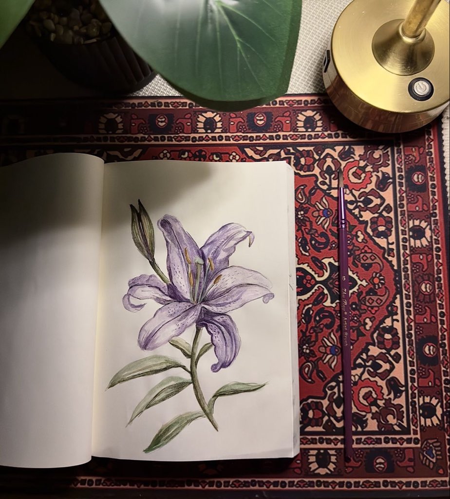 ✮⋆˙ (@dmugg7) on Twitter photo 