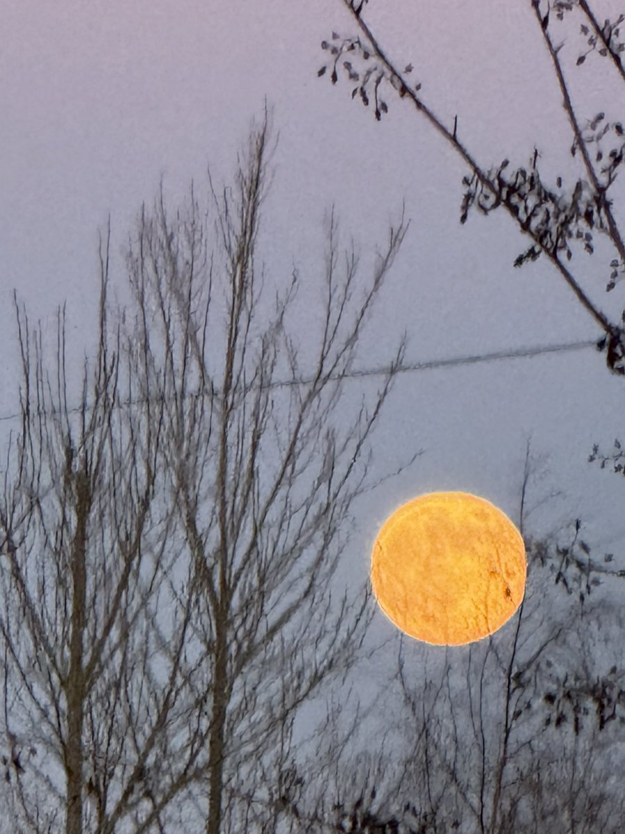 Chris (@lambpie1973) on Twitter photo 