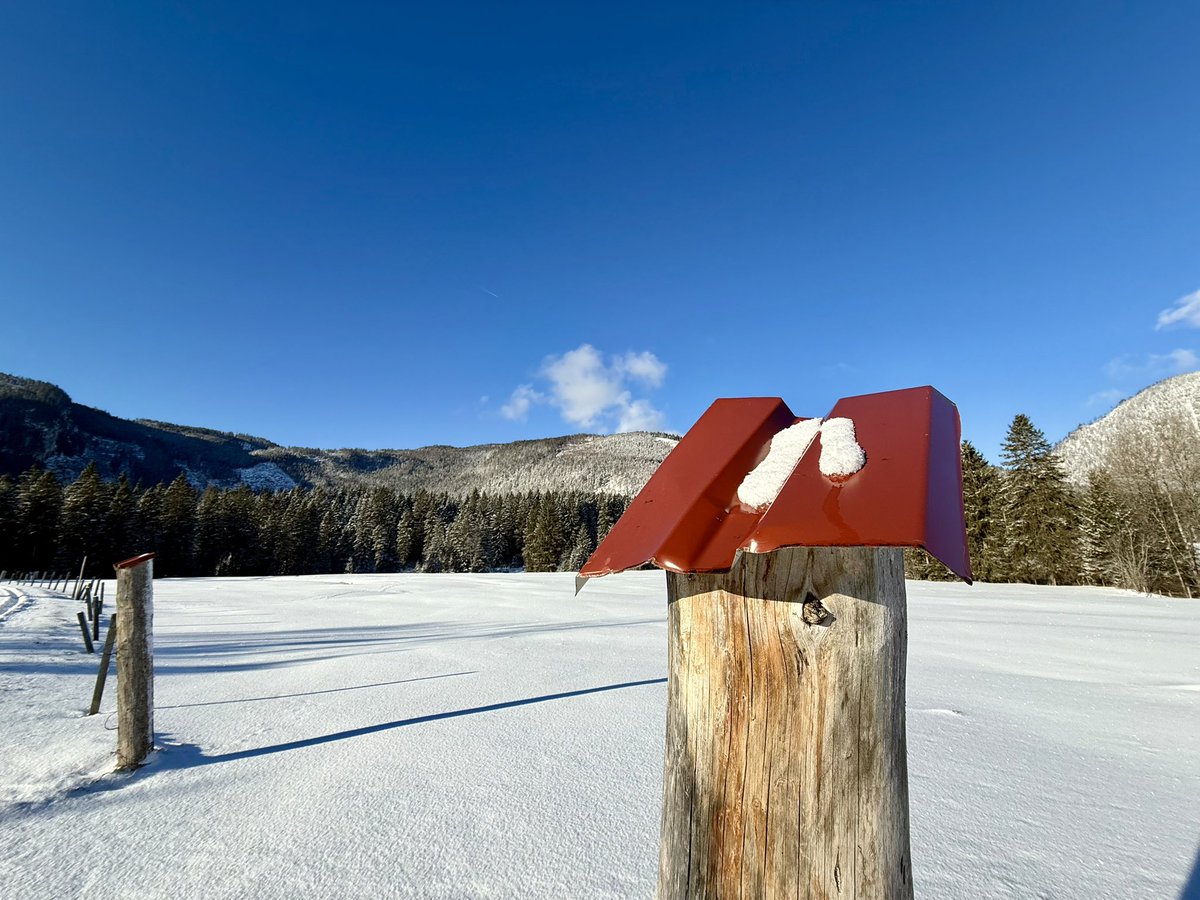 Farbstift (@zeilenbunt) on Twitter photo 