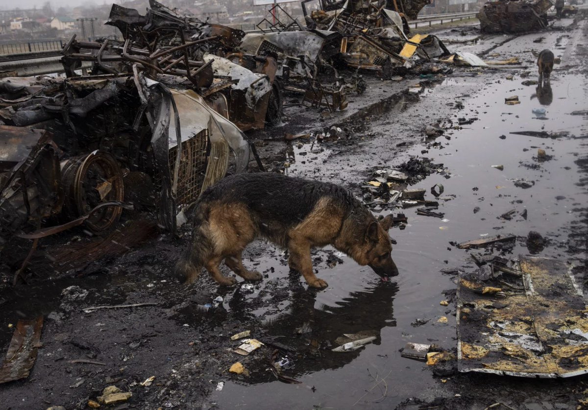 Wayne Hsiung tweet media