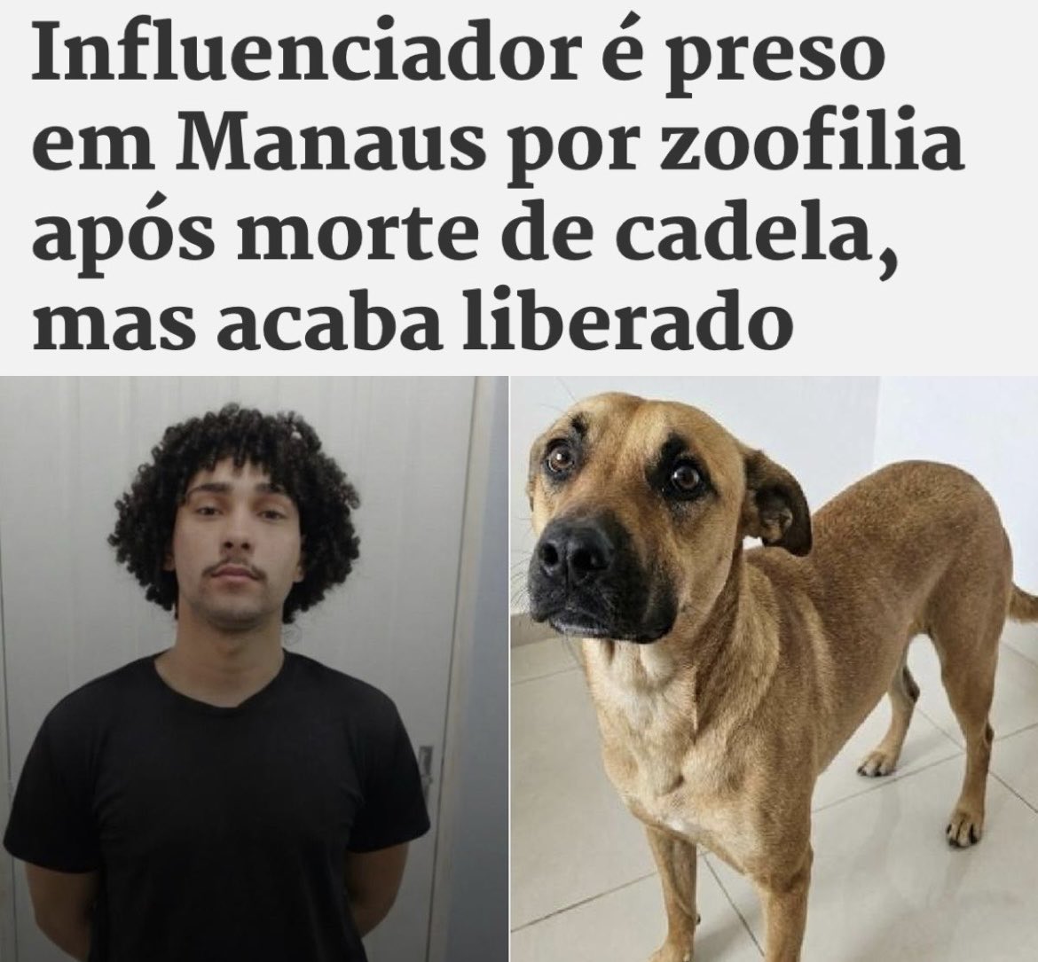 del_brunolima's tweet photo. Mais uma prova de que a justiça falha com quem não tem voz. 🤬😡

Até quando a “justiça” vai proteger os criminosos e virar as costas para os inocentes? ❌ https://t.co/Xn6TjaEofm