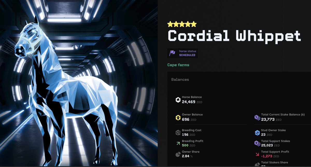 ZED CHAMPIONS tweet media