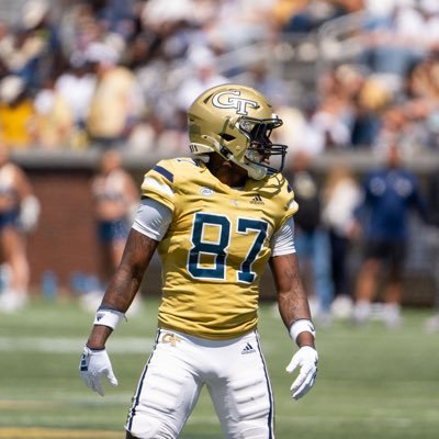 247SportsPortal's tweet image. Georgia Tech wide receiver Jamauri Brice is entering the transfer portal, his rep @monnier_oscar of @jordansportsgrp tells @mzenitz.

The 5-foot-10, 190-pound freshman redshirted this season.

247sports.com/player/jamauri…