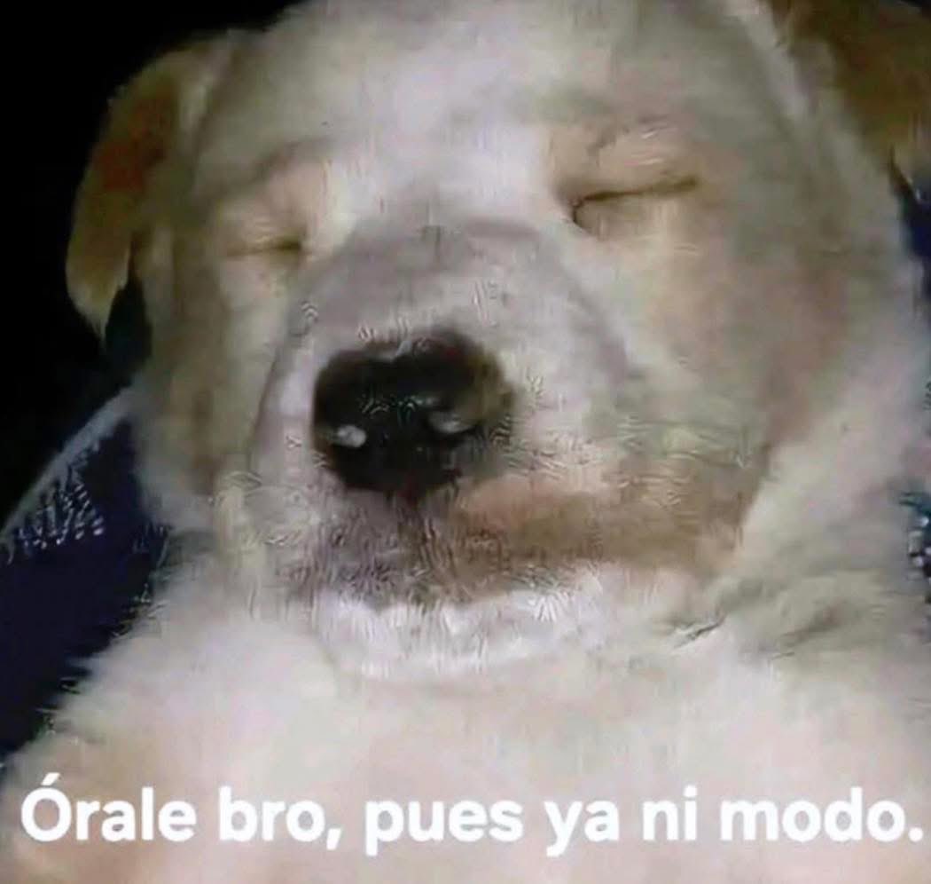 La ONU ante cualquier evento internacional: