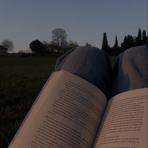 01mathss's tweet image. ⊹˙⋆ livros lidos em 2026 ࣪˖ ⋆
                — a thread.