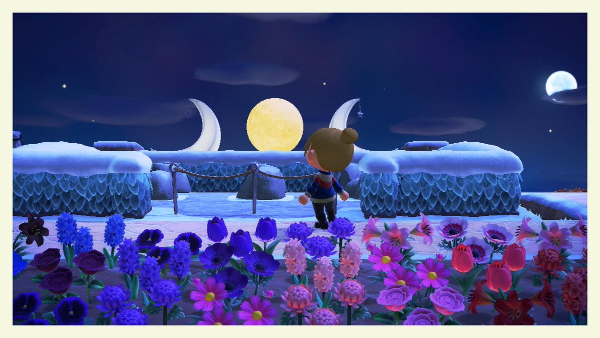 Ada_cgn's tweet image. I finally did it and transferred my island to the Switch 2. Everything is tidy except for my house, so if anyone would like to visit me, please feel free to get in touch. I would be delighted to have visitors tomorrow.  #animalcrossing #NintendoSwitch2 #newhorizons