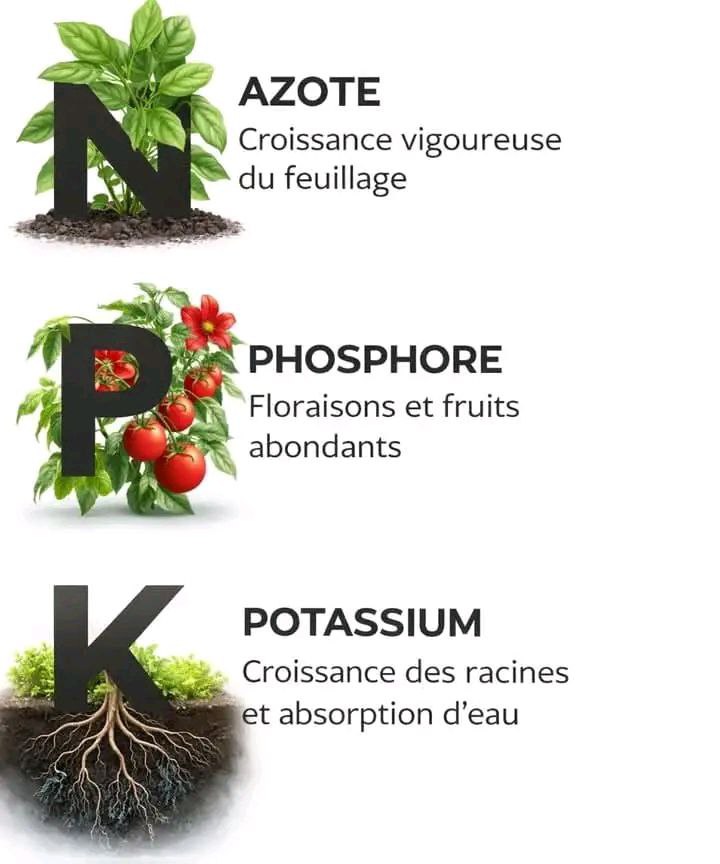 Stephan95105295's tweet image. A savoir