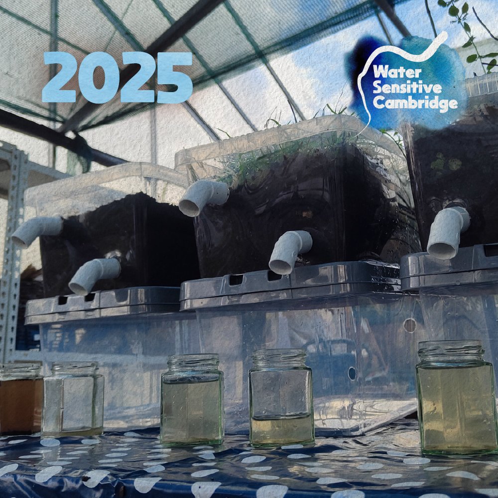 Water Sensitive Cambridge tweet media