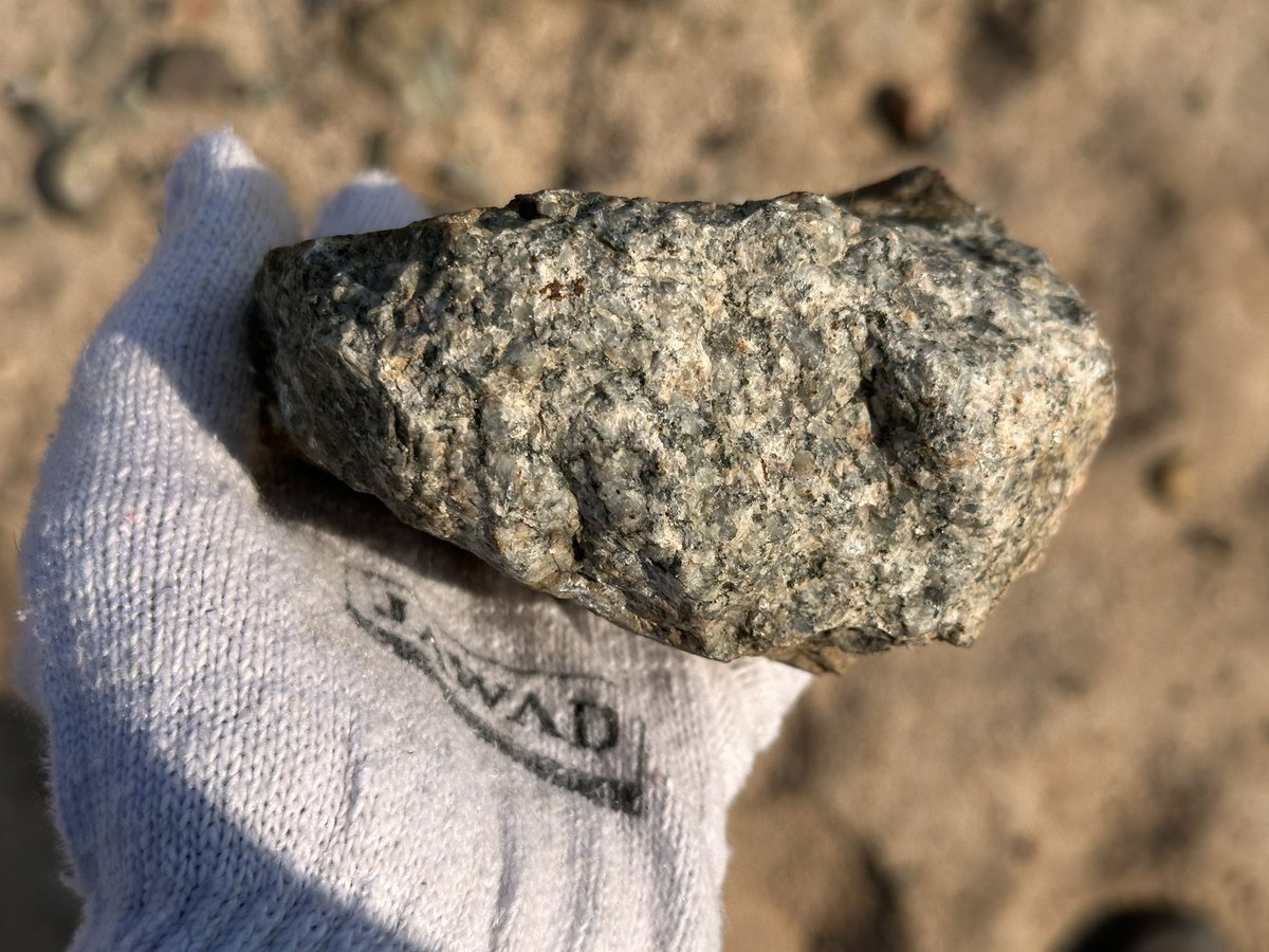 Lamar_Sohil's tweet photo. January 3rd, 03:20 | Field Highlights

GPS mapping of four igneous outcrop stations, dikes and xenoliths observed, relative age identified, vesicular basalt with amygdaloidal texture, plus sampling, notes, and sketching.

#كلية_علوم_الأرض
#جامعة_الملك_عبدالعزيز https://t.co/iUT7VjBFbM