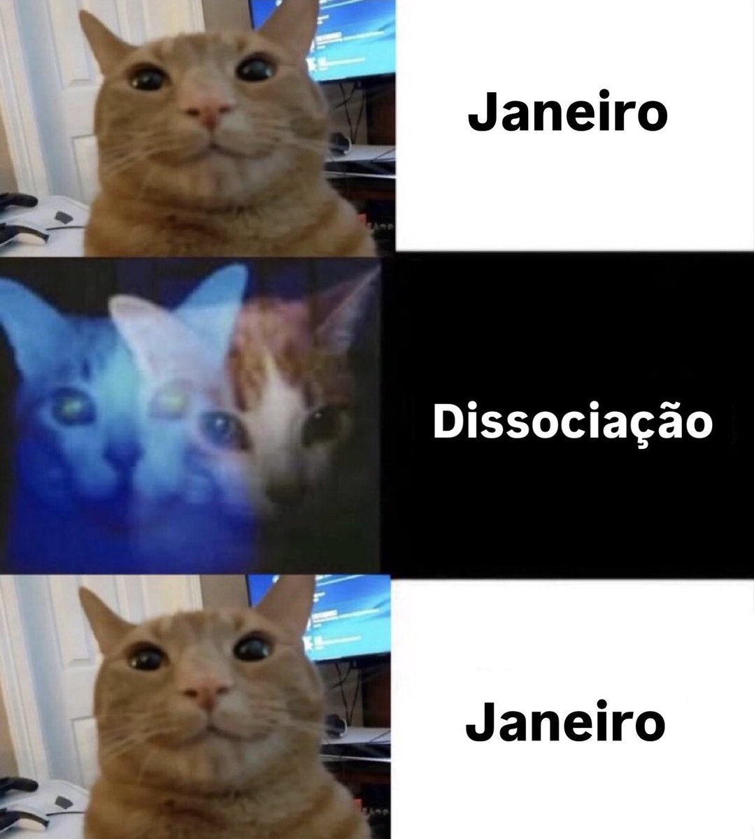 gatinarios's tweet image. 