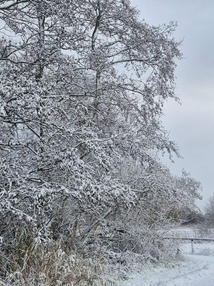 Becca-Grace tweet media