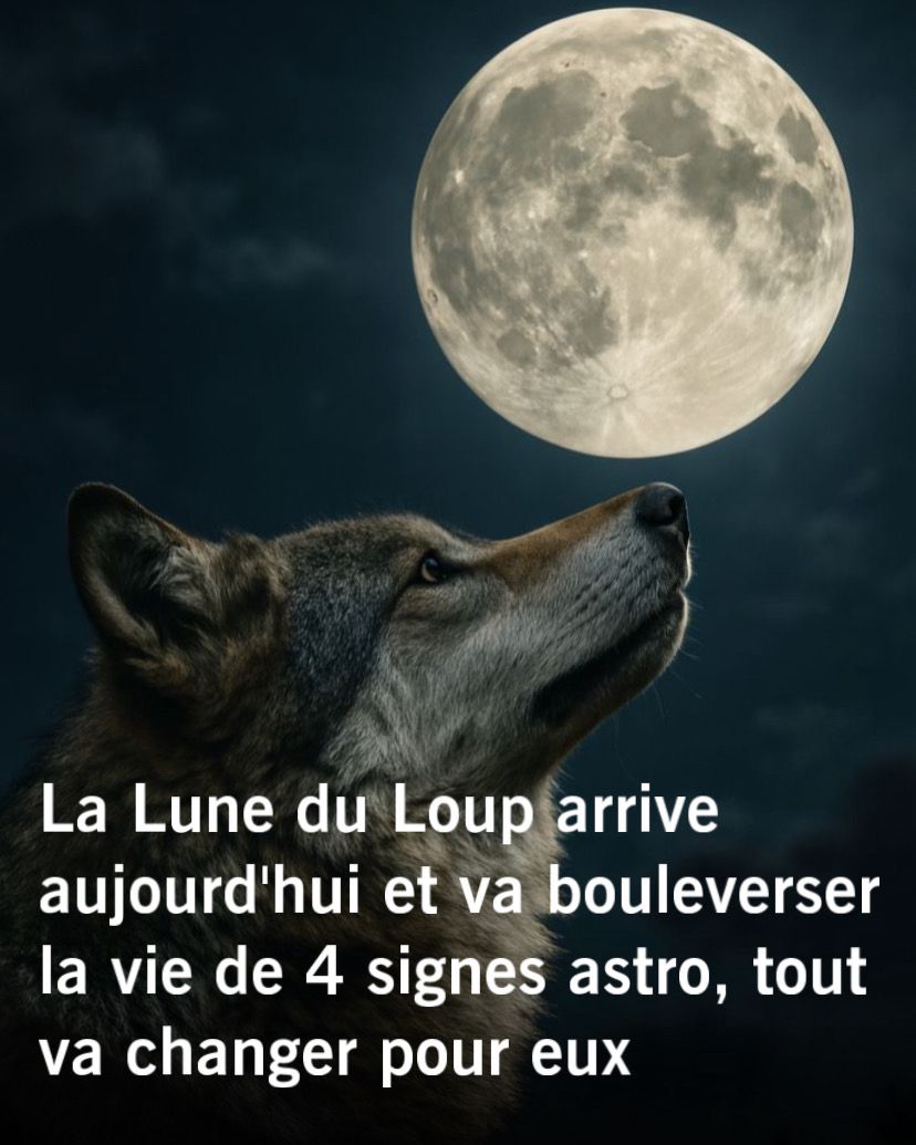 info07fr's tweet image. 🚨Attention ! La Lune du Loup va transformer la vie de ces 4 signes astrologiques dès aujourd’hui🌕😱...Voir plus 👉machaineinfo.fr/la-lune-du-lou…
