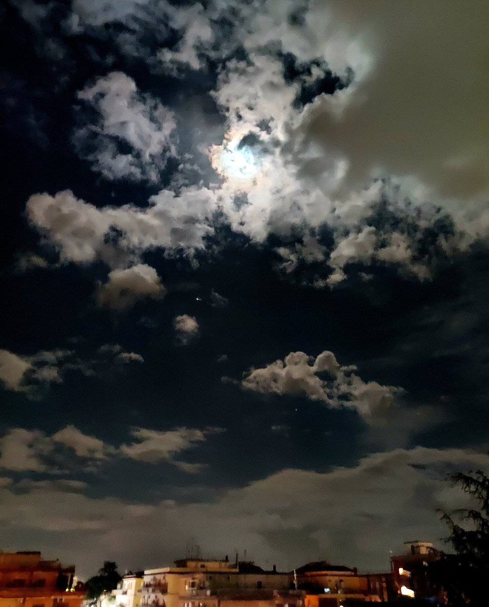 Maria Lea tweet media