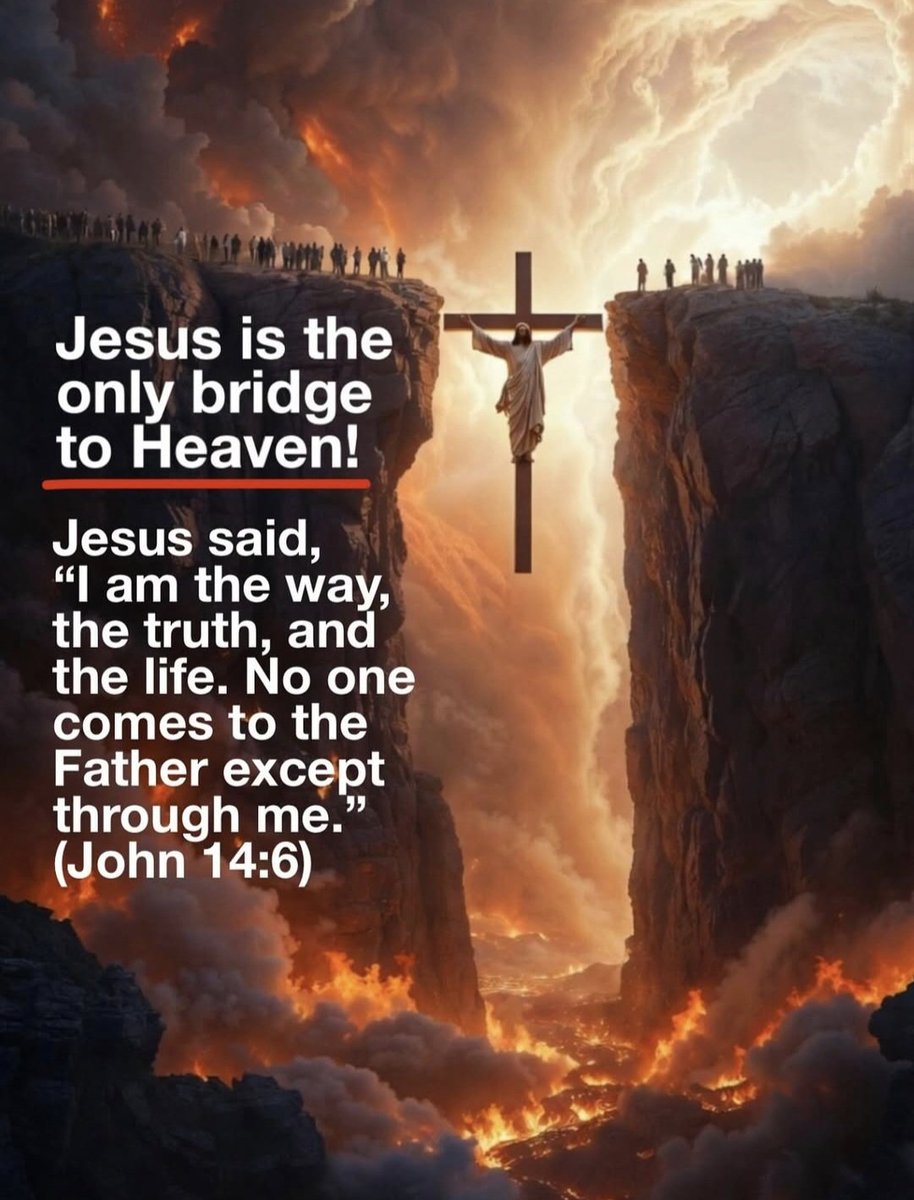 Daily Bible Verses ✝️ tweet media