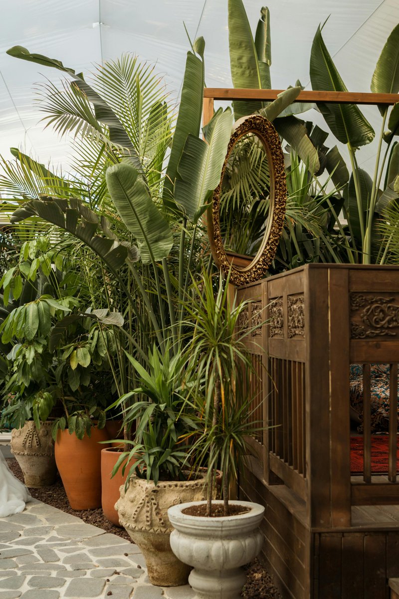 sunandshade85's tweet image. Design an outdoor space that feels like an extension of your home—shop now for decor that adds comfort, charm, and lasting style.

sunandshadedecor.com

#OutdoorDecor #PatioEssentials #BackyardCharm #OutdoorLivingIdeas #GardenInspired #PatioDesign #ExteriorDecorStyle