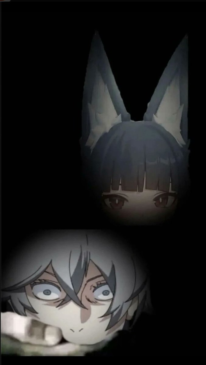 ⚡『F4LID0』ℕ3𝕎𝕖𝕣𝕒⚡ tweet media