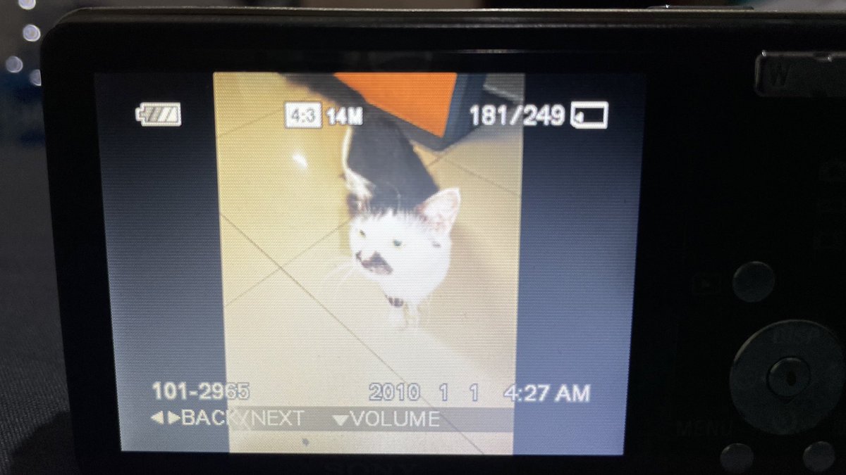 afterpitstop's tweet image. Acting like I’m a fansite and these are the preview of my weekend hang out pics.