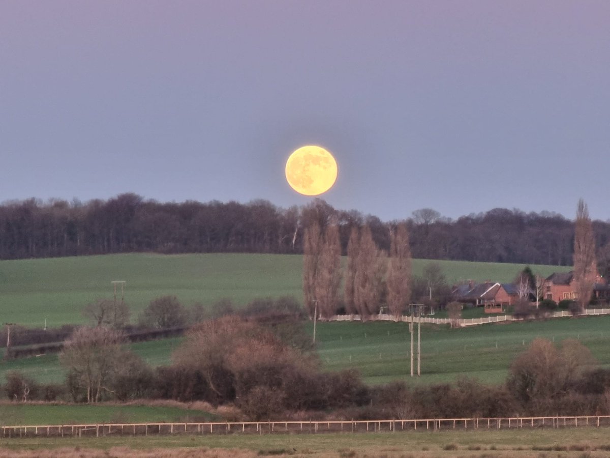 Nigel Smith tweet media