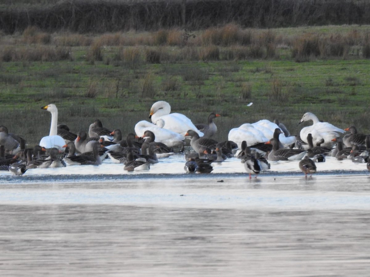 Nigel Smith tweet media