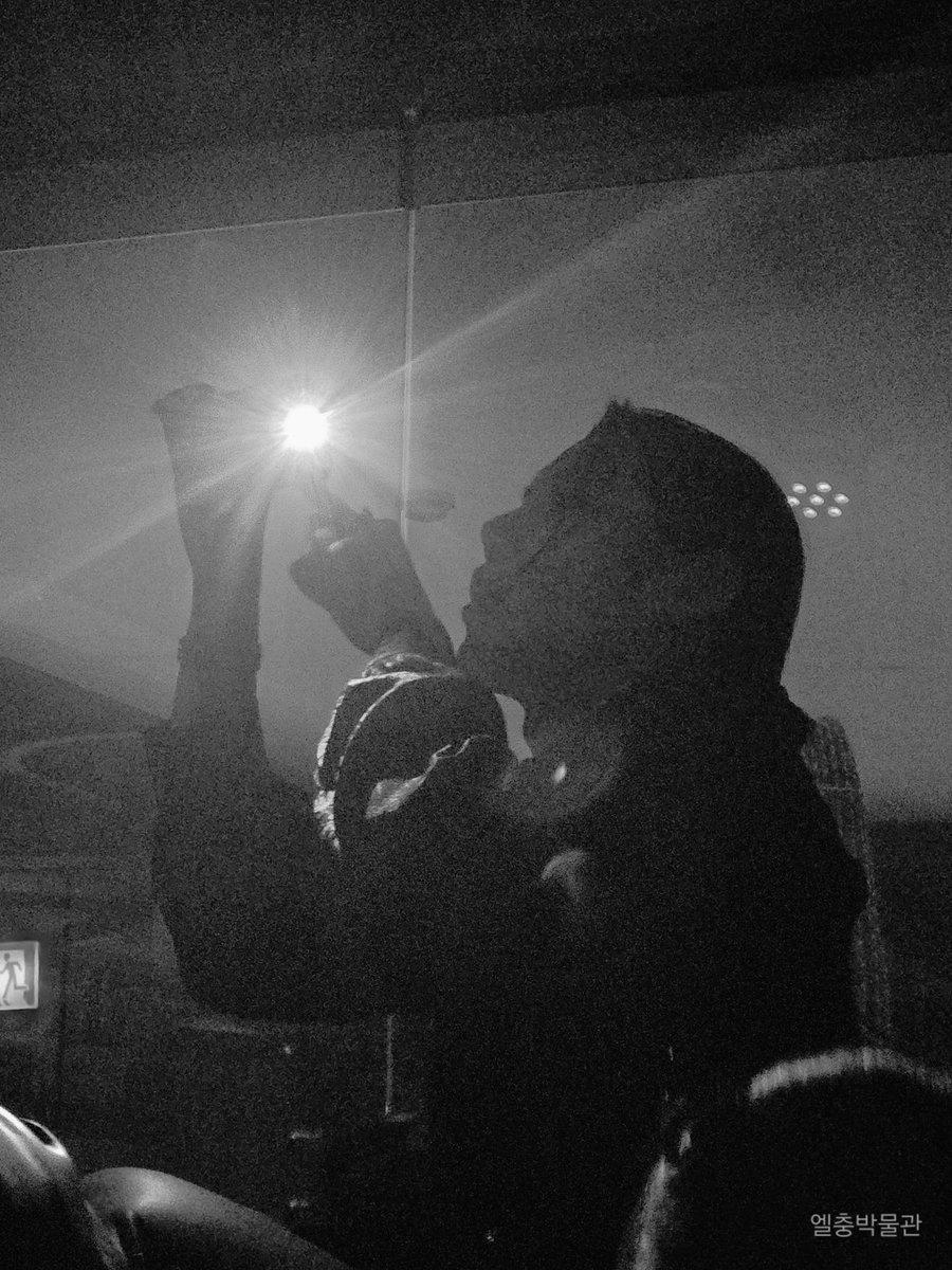 요정의전당×엘충박물관 tweet media