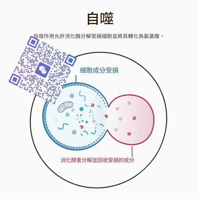 k_sachil's tweet photo. 瘦身霜这种东西是不是智商税？涂完全身发热，感觉脂肪在燃烧（其实是辣椒素辣的吧）。

减肥💦药娘🌸两难
吉瑞替尼👍拉肚子🪐欺骗餐

生而为人务必善良，” 胃：“不你不想🎌 https://t.co/nfsee9E25t
