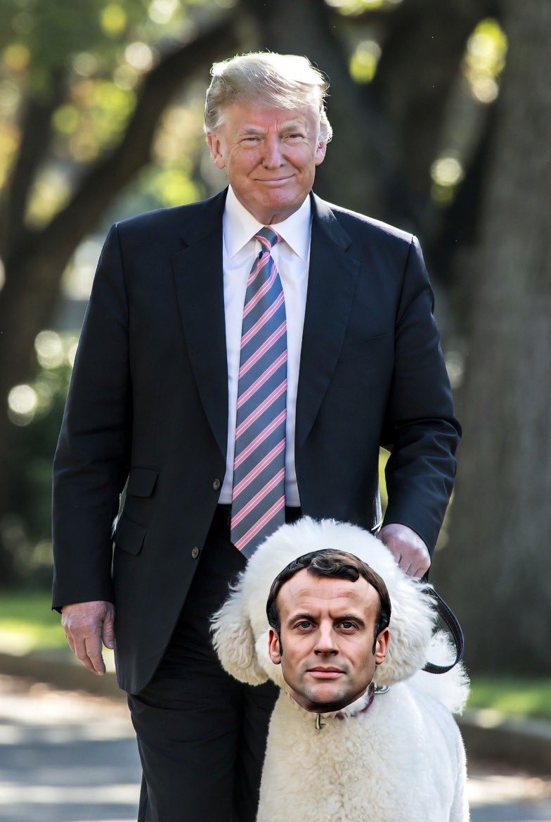 PierrickLVN's tweet image. Littéralement