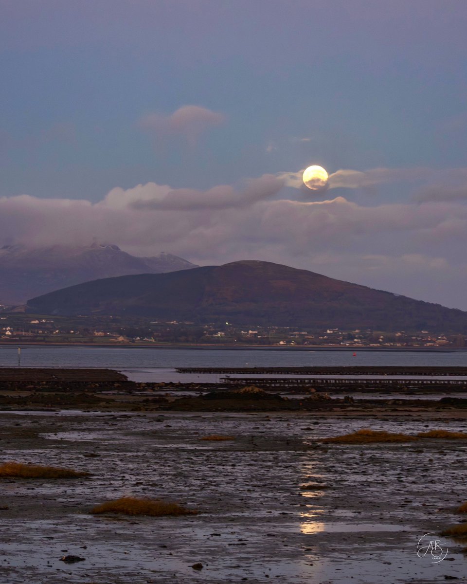 AnnBruen's tweet image. The wolf full moon appearing out above the clouds over Carlingford Lough and the Mourne mountains this evening.