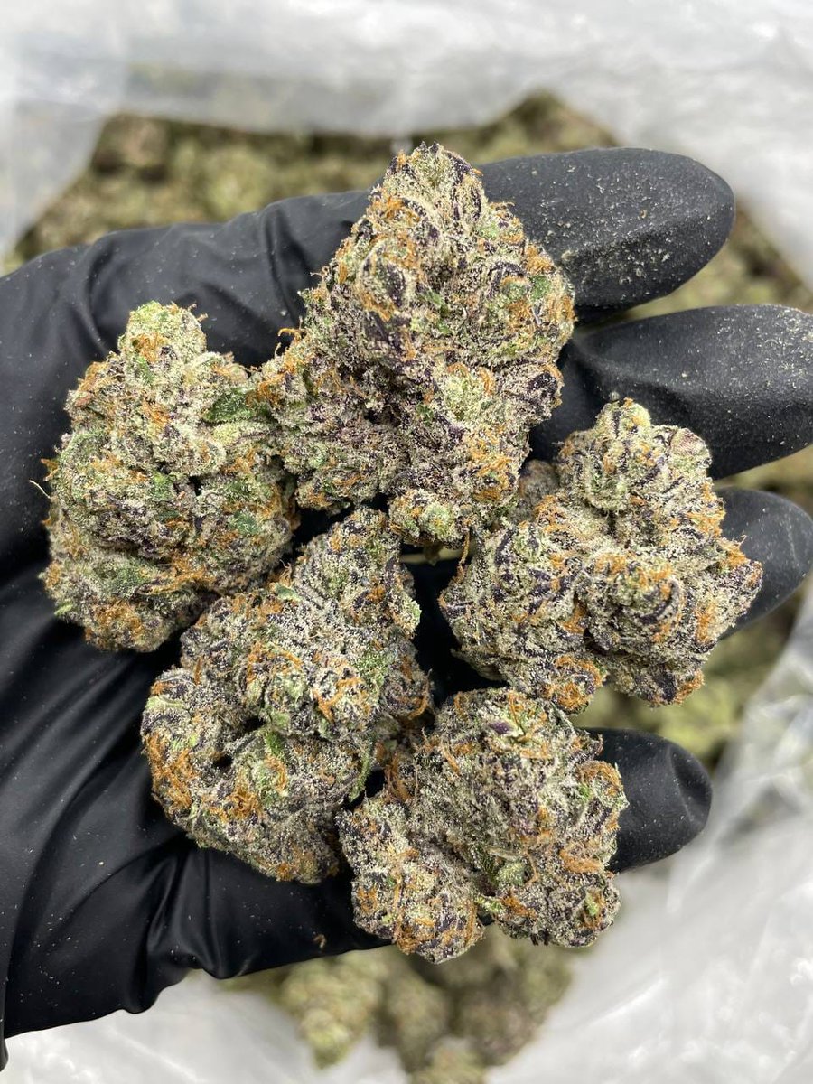 smackinplug's tweet image. LINK IN BIO📤
Weed Zurich Weed Kreis 1 Weed Kreis 4 Weed Oerlikon Weed Altstetten Weed Winterthur Weed Wülflingen Weed Seen Weed Geneva Weed Plainpalais Weed Eaux-Vives Weed Carouge Weed Meyrin Weed Vernier Weed Basel Weed Grossbasel Weed Kleinbasel Weed Allschwil Weed Binningen