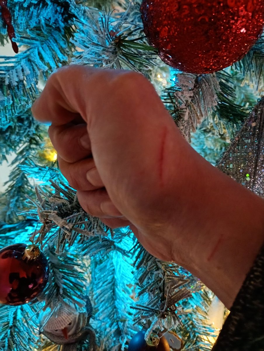 Why yes, I do have a cat. However did you guess? 🤔😆😸