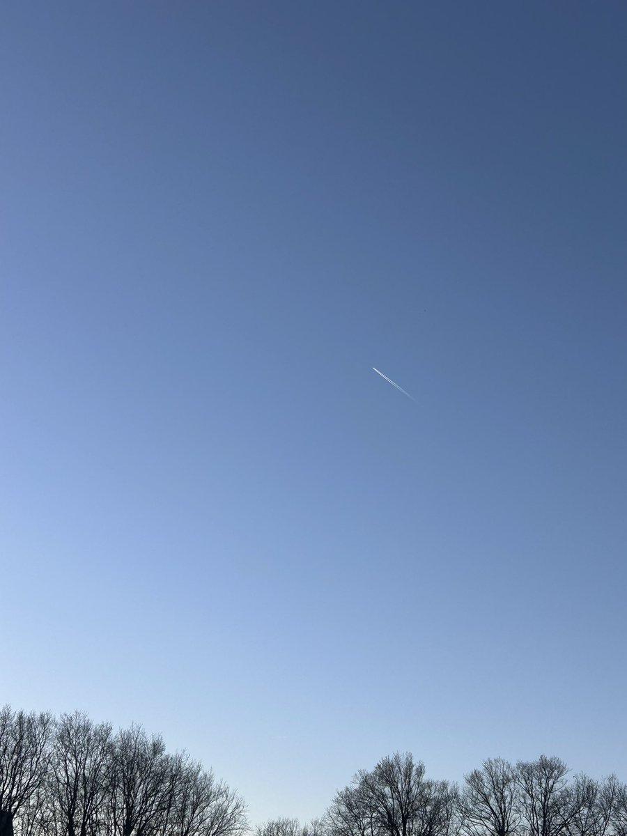 aus 🌷 tweet media