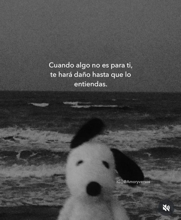 🌙 mini textos (@soyminitextos) on Twitter photo 