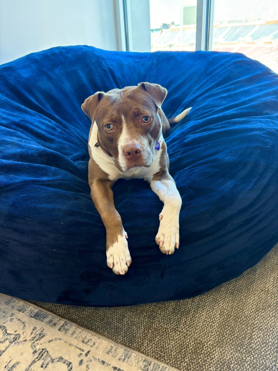 Coach Nady tweet media