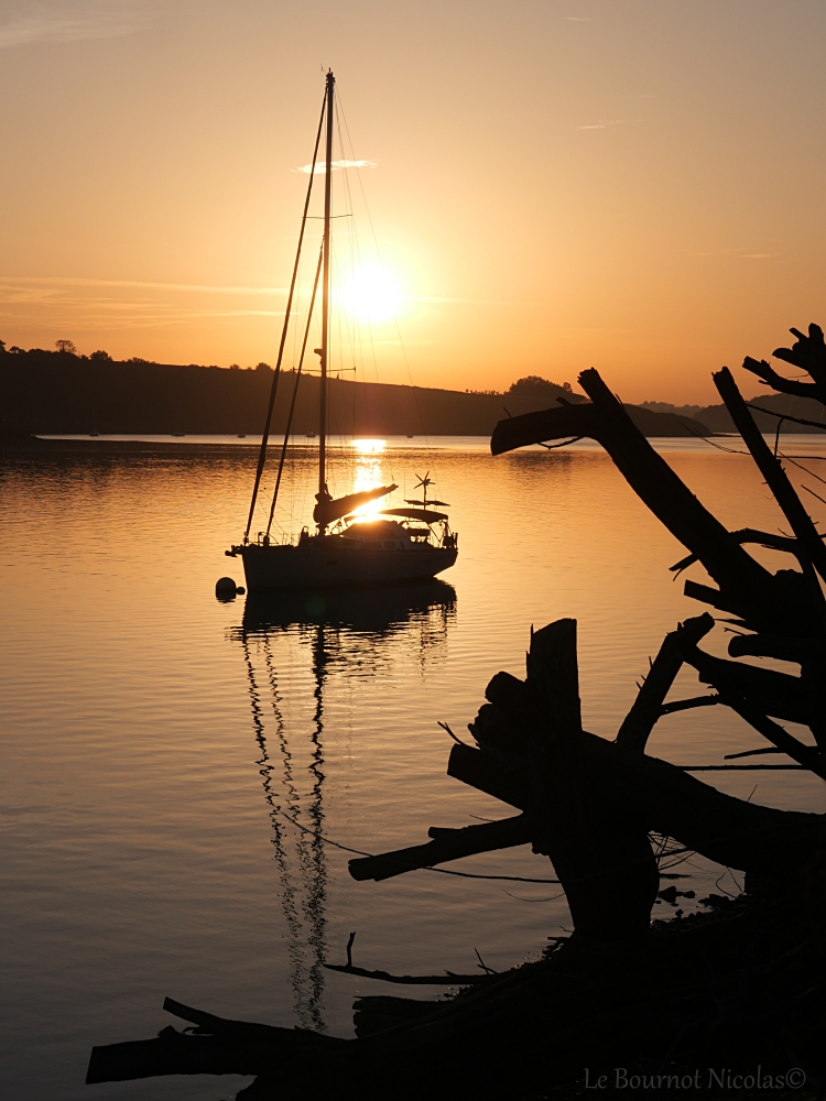 L'instant sacré où le jour prend racine
Ombres chinoises et reflets dorés pour une  journée parfaite sur la Rance .
Bonne soirée