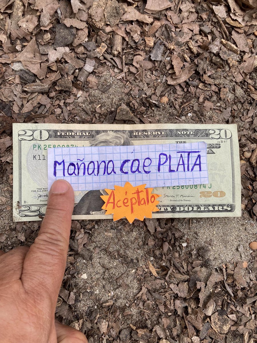 𝗧 𝗲 𝘅 𝘁 𝗼 𝘀 𝗡 𝘂 𝗯 𝗹 𝗮 𝗱 𝗼 𝘀 ☁️ (@textosnublados) on Twitter photo 