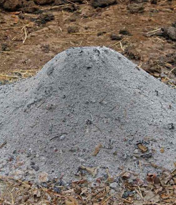 GordoDan_'s tweet image. Y, Chávez? Vos qué opinas de todo esto?