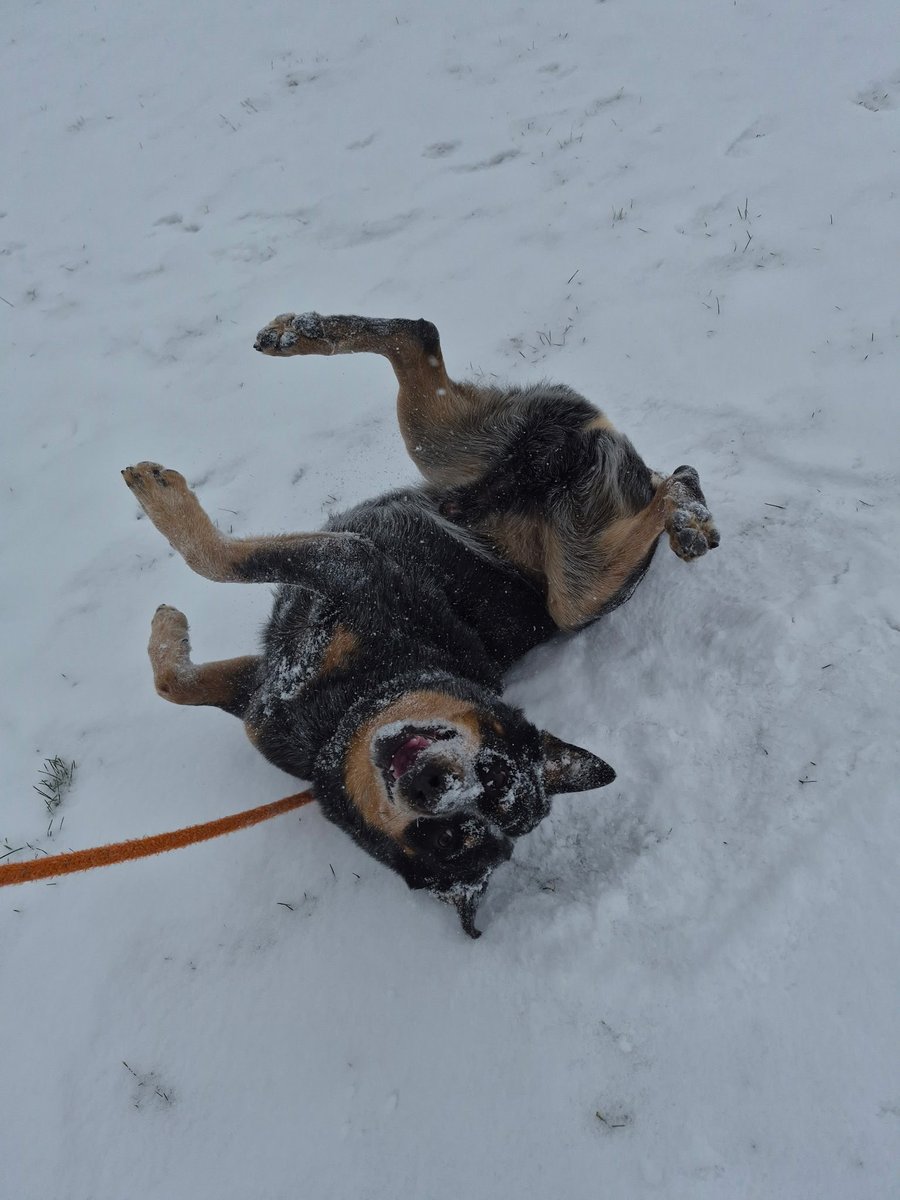 RandyRRQuaid's tweet image. 