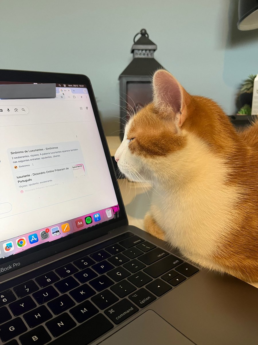 lesbaabin's tweet photo. trying to study when you have a cat be like https://t.co/5Gs76evmAT