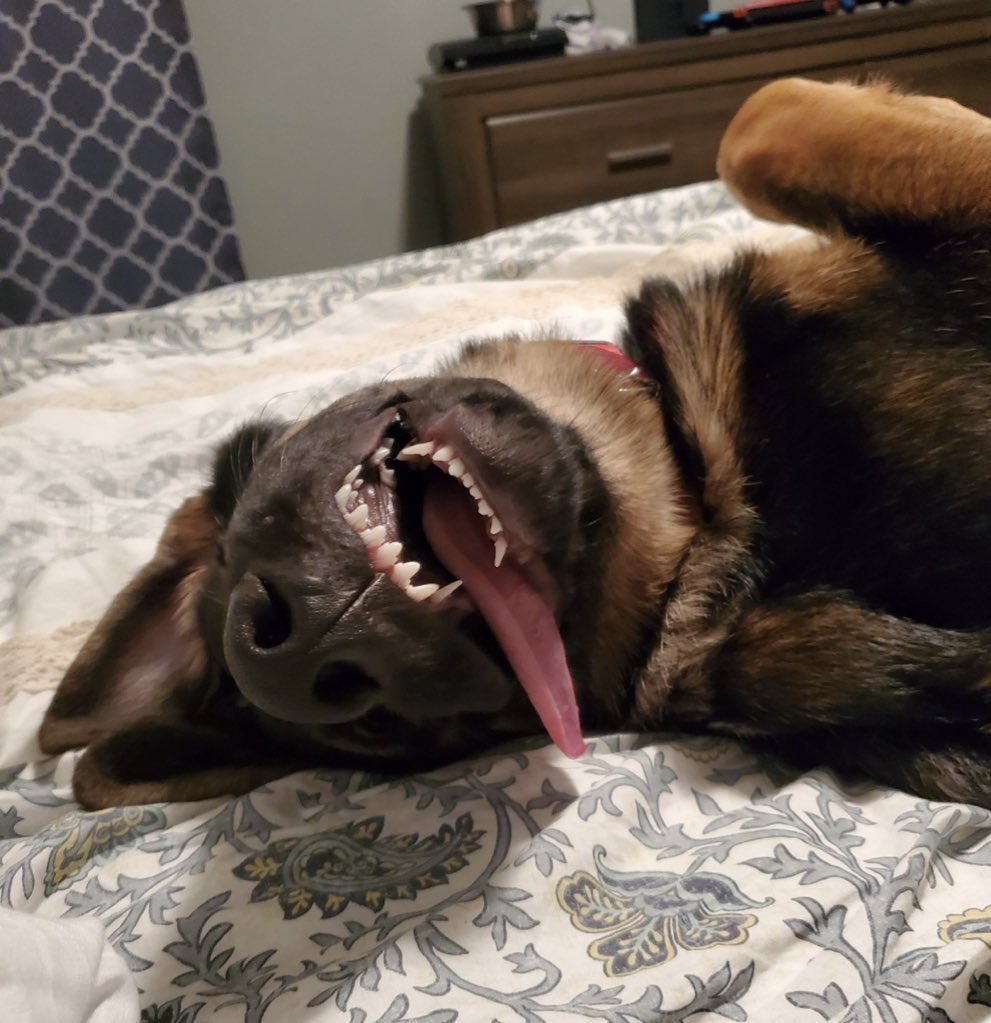 ⚔️ ⚔️ 🇺🇸 Gunny 🇺🇸 ⚔️ ⚔️ tweet media