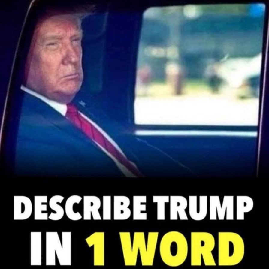 🐝Andrea Orsi🐝Queen Bee 🇺🇸🇮🇱🇧🇷 tweet media
