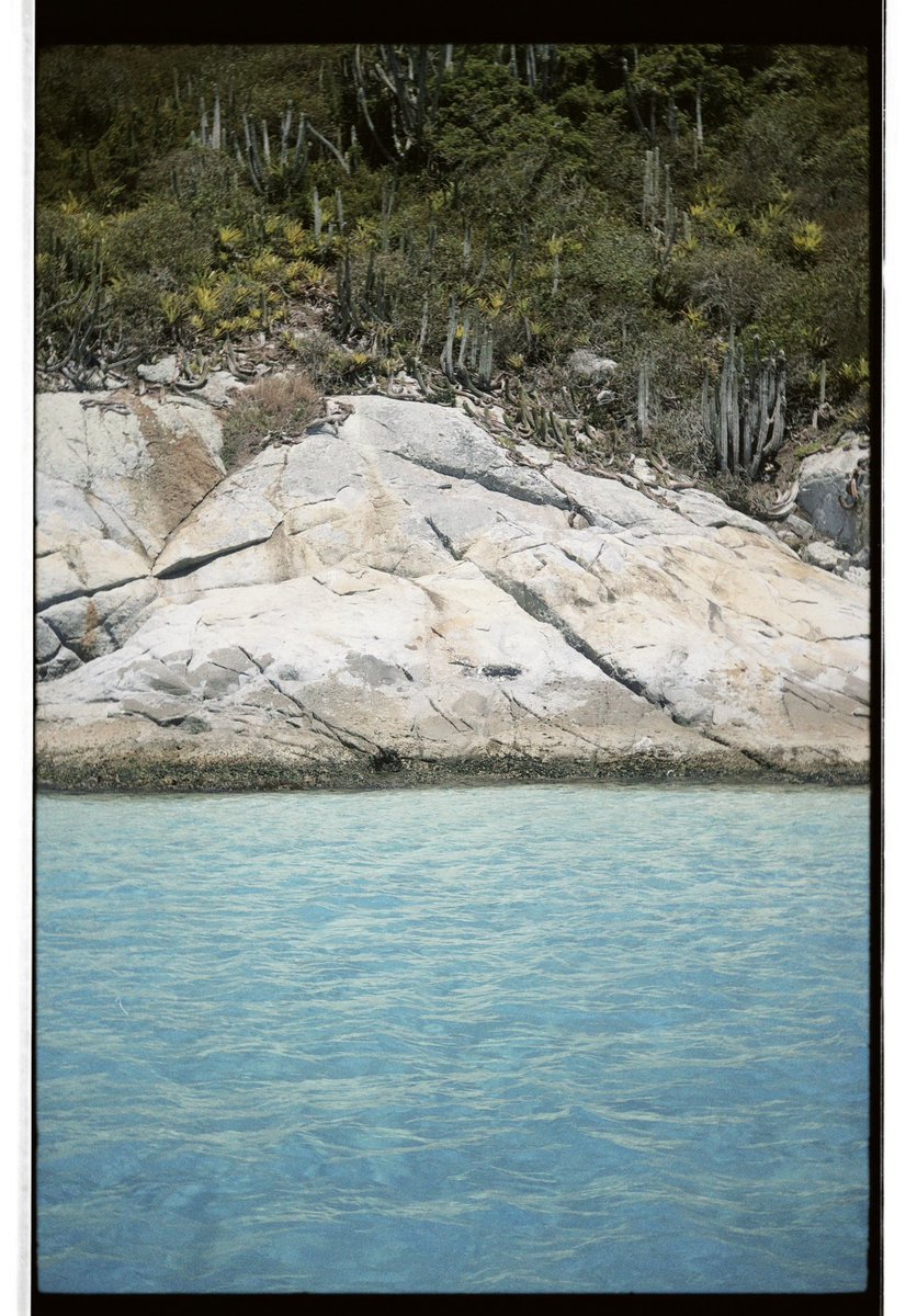 _Allaoy's tweet image. Nao estou preparado para voltar a realidade