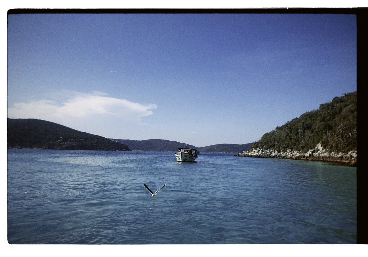 _Allaoy's tweet image. Nao estou preparado para voltar a realidade