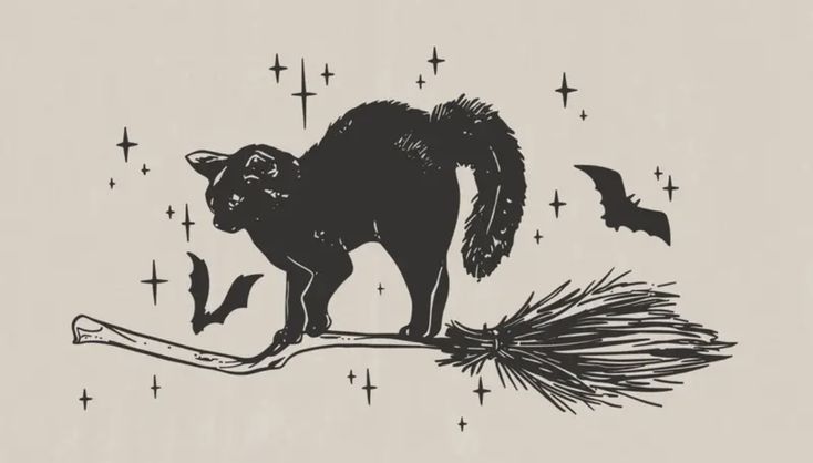 blackdreamvibes's tweet image. 