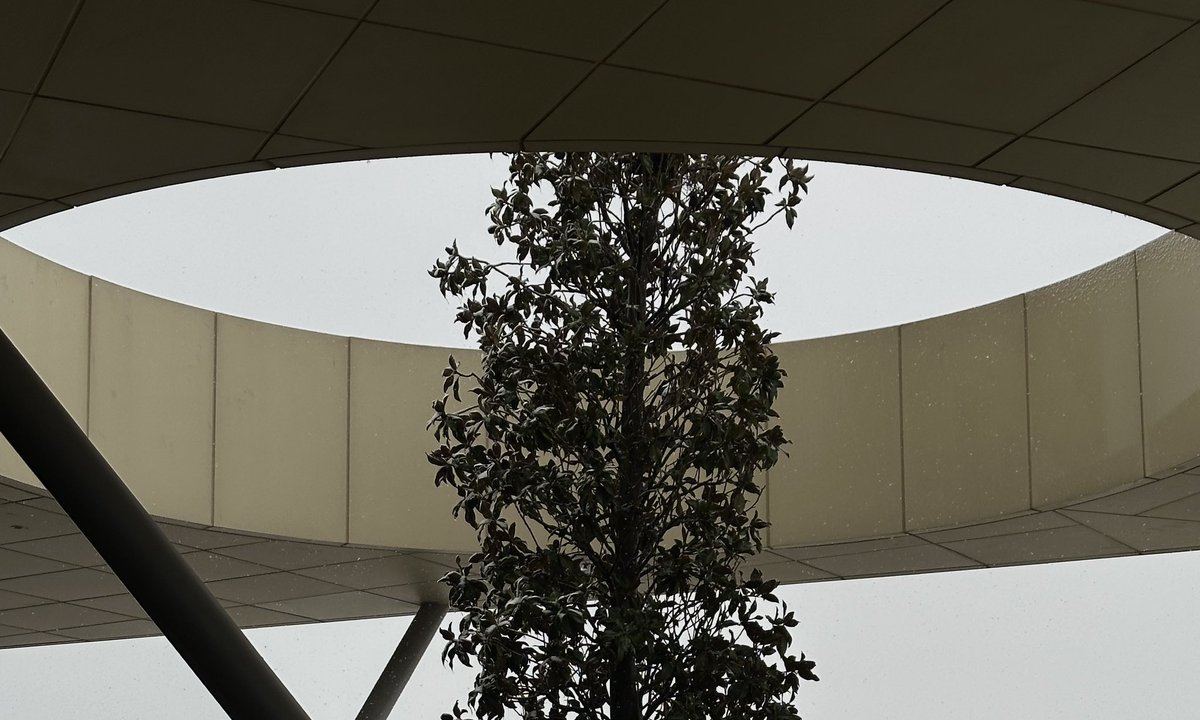 𝒮𝒶𝒾𝒻 (@s1f0_0) on Twitter photo 