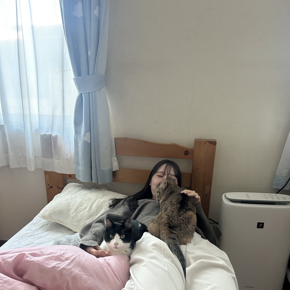 おはようございます☀️ にゃんこまみれの 次女ちゃん🫣💕 暦の関係で