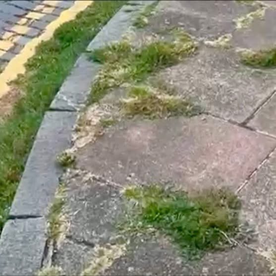 JamesMelville's tweet image. British decay:

▪️Rubbish everywhere 
▪️Blocked road drains 
▪️Dirty road signs 
▪️Weeds on pavements
▪️Potholes 

We are paying huge amounts of council tax and getting a reduced return on our investment from local councils.