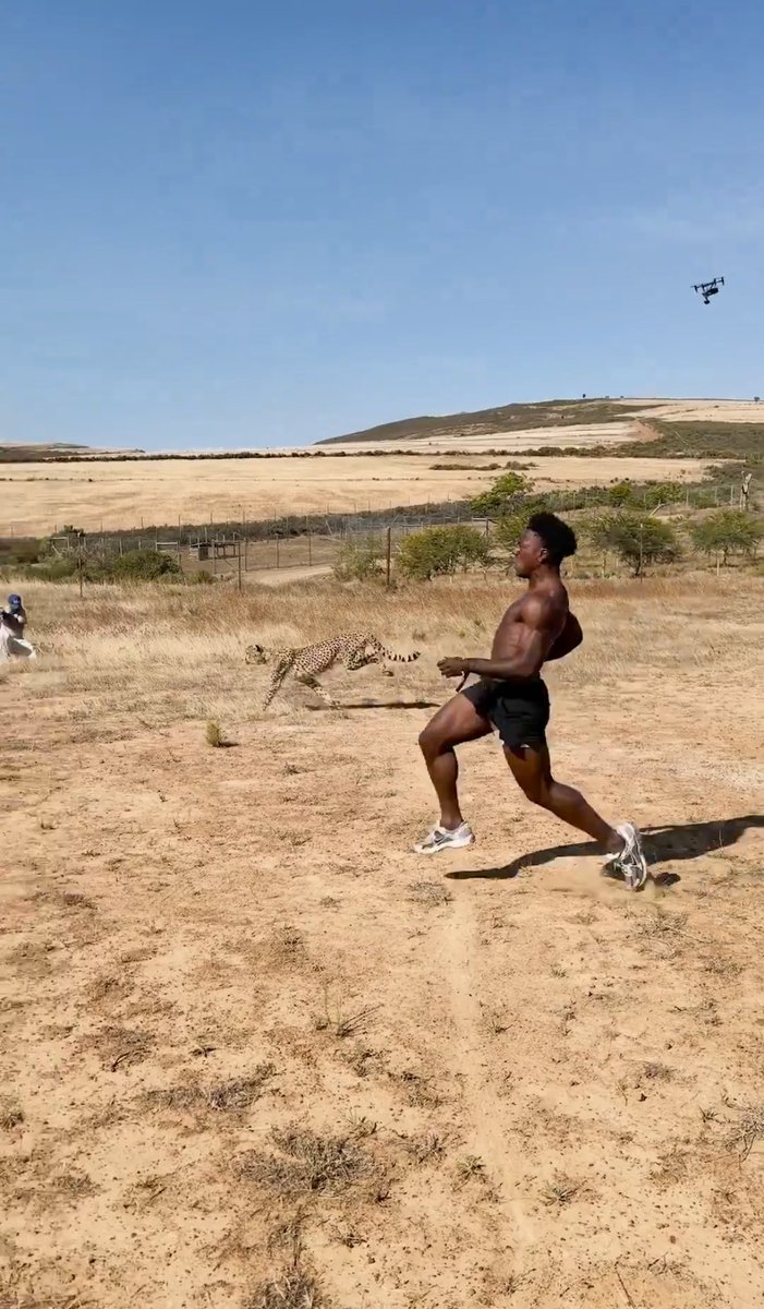 Technically iShowSpeed won, 
the cheetah literally sabotaged him before the race 😭