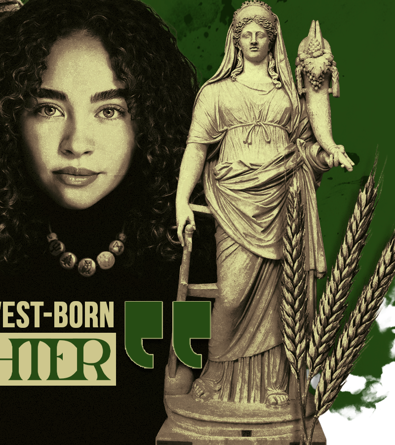 ᅠᅠ𝒐𝗉𝗁𝖾𝗅𝗂𝖺 . 🌿 tweet media